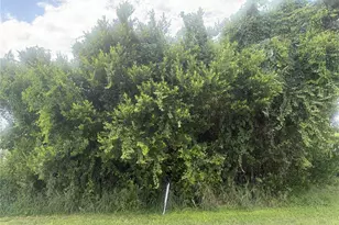 1600 E Claradge Ave, Avon Park, FL 33825 - Photo 1