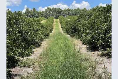 A T Race Road, Dundee, FL 33838 - Photo 9