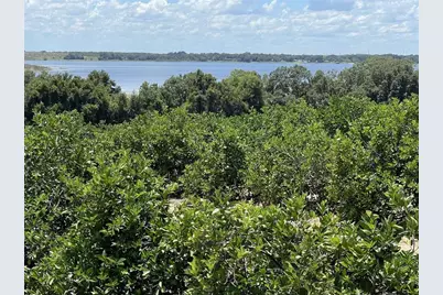 A T Race Road, Dundee, FL 33838 - Photo 11