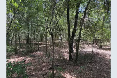 0 Pine Terrace, Ocala, FL 34472 - Photo 3