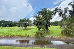 6128 Topher Trail, Mulberry, FL 33860 - Photo 23