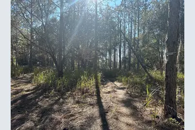 2406 Lake Ella Road, Fruitland Park, FL 34731 - Photo 77