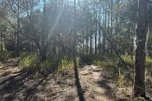2406 Lake Ella Rd, Fruitland Park, FL 34731 - Photo 77