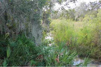 Deer Road, Frostproof, FL 33843 - Photo 9