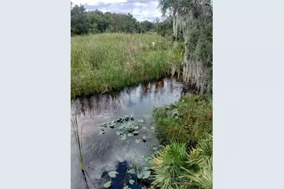 Deer Road, Frostproof, FL 33843 - Photo 17