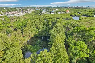 6223 Anhinga Pl, Tampa, FL 33615 - Photo 13