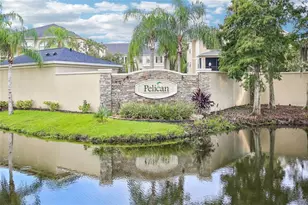 6223 Anhinga Pl, Tampa, FL 33615 - Photo 61
