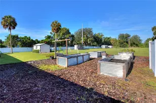 4220 Howell Ln, Mulberry, FL 33860 - Photo 47