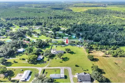 4220 Howell Lane, Mulberry, FL 33860 - Photo 3