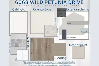 6068 Wild Petunia Drive, Wimauma, FL 33598 - Photo 3