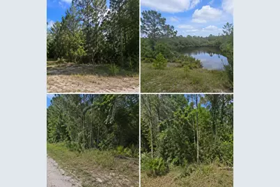 Leslie Drive, Deland, FL 32720 - Photo 3