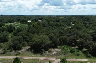 600 Serene Ln, Lorida, FL 33857 - Photo 7