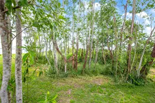 2427 Black Rd, Fort Meade, FL 33841 - Photo 35