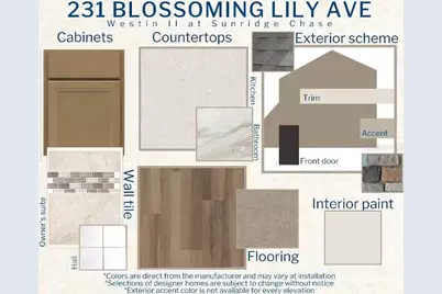 231 Blossoming Lily Avenue, Ruskin, FL 33570 - Photo 3