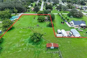 4310 Turner Rd, Mulberry, FL 33860 - Photo 9