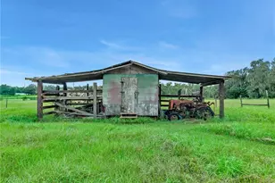 4310 Turner Rd, Mulberry, FL 33860 - Photo 7