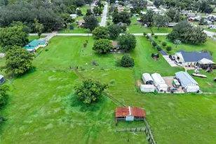 4310 Turner Rd, Mulberry, FL 33860 - Photo 15