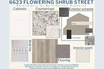 6623 Flowering Shrub Street, Lakeland, FL 33810 - Photo 3