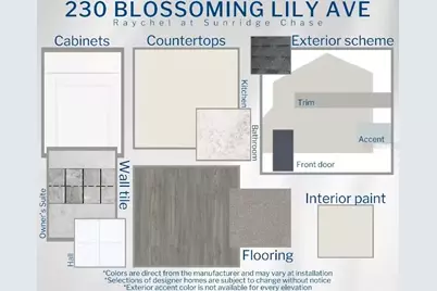 230 Blossoming Lily Avenue, Ruskin, FL 33570 - Photo 3