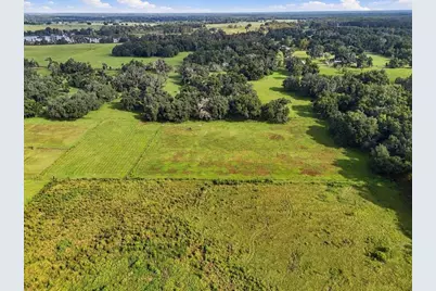 39410 Sparkman Road, Dade City, FL 33525 - Photo 23
