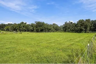 39410 Sparkman Road, Dade City, FL 33525 - Photo 11