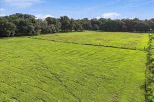 39410 Sparkman Rd, Dade City, FL 33525 - Photo 1