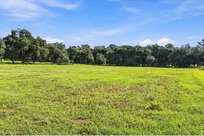 39410 Sparkman Road, Dade City, FL 33525 - Photo 15