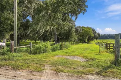39410 Sparkman Road, Dade City, FL 33525 - Photo 3