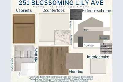 251 Blossoming Lily Avenue, Ruskin, FL 33570 - Photo 3