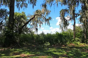 850 Hanover Wy, Lakeland, FL 33813 - Photo 95