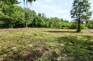 13016 Somerlott Pl, Dover, FL 33527 - Photo 93