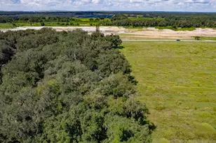 3625 E Gandy Rd, Bartow, FL 33830 - Photo 37