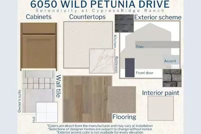 6050 Wild Petunia Drive, Wimauma, FL 33598 - Photo 3