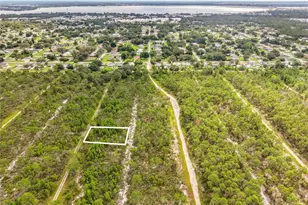 443 Parrot Ave, Sebring, FL 33870 - Photo 1