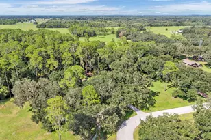 1743 Itchepackesassa Dr, Lakeland, FL 33810 - Photo 59