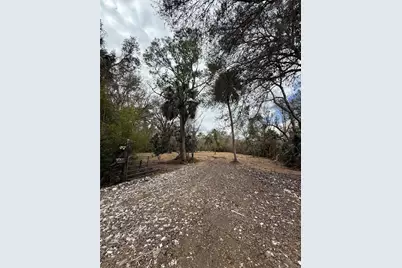 15030 N 301 Highway, Thonotosassa, FL 33592 - Photo 5