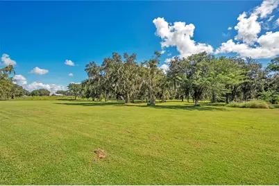 454 Resthaven Road, Zolfo Springs, FL 33890 - Photo 41