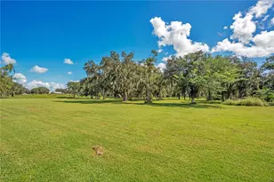 454 Rest Haven Rd, Zolfo Springs, FL 33890 - Photo 41