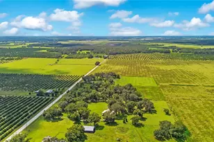 454 Rest Haven Rd, Zolfo Springs, FL 33890 - Photo 53