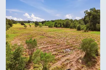 2929 Al Simmons Road, Dover, FL 33527 - Photo 19