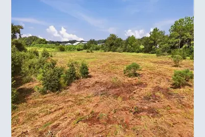 2929 Al Simmons Road, Dover, FL 33527 - Photo 21