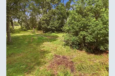 2929 Al Simmons Road, Dover, FL 33527 - Photo 3