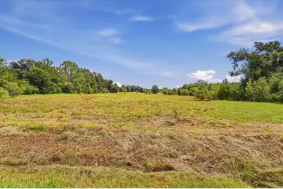 2929 Al Simmons Road, Dover, FL 33527 - Photo 15