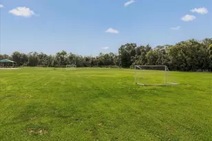 2929 Forest Hammock Dr, Plant City, FL 33566 - Photo 73
