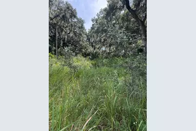 0 Medulla Road, Lakeland, FL 33811 - Photo 5