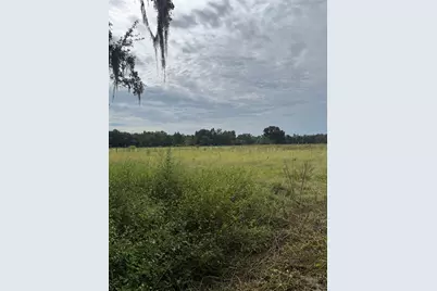0 Medulla Road, Lakeland, FL 33811 - Photo 7