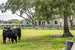 3910 Knights Station Rd, Lakeland, FL 33810 - Photo 55