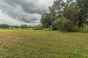 4233 Cindy Rd, Lakeland, FL 33810 - Photo 45