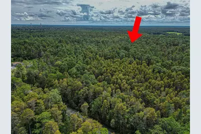 0 Poyner Oaks Road N, Polk City, FL 33868 - Photo 9