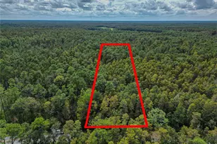 0 Poyner Oaks Road N, Polk City, FL 33868 - Photo 1
